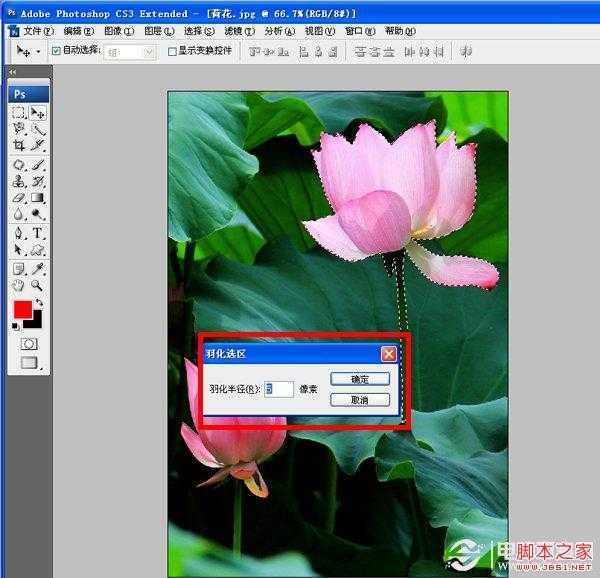 如何使用PS虚化背景突出主体 Photoshop高斯模糊实例教程