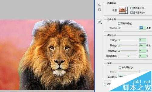 ps cs5抽出滤镜在哪? ps抽出滤镜的使用教程