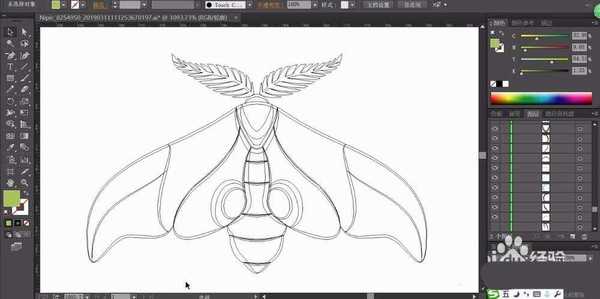 ai怎么手绘飞蛾矢量图? ai画飞蛾的教程